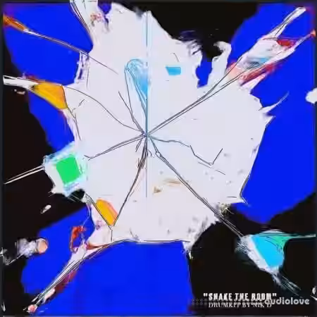 Nik D Shake The Room Drum Kit [WAV] - Sample Pack Artwork