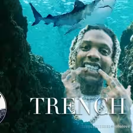 Nile Waves Trench Punch Vol.1 [MiDi] - Sample Pack Artwork