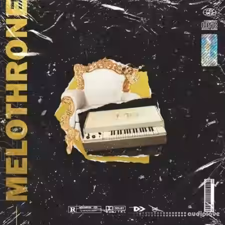 Nine Audio Melothrone [WAV] - Sample Pack Artwork