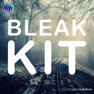 Noiiz Bleak Kit [MULTiFORMAT]