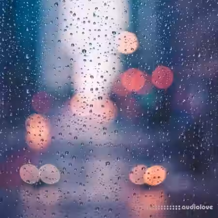 Noiiz Chill Lo-Fi [MULTiFORMAT] - Sample Pack Artwork