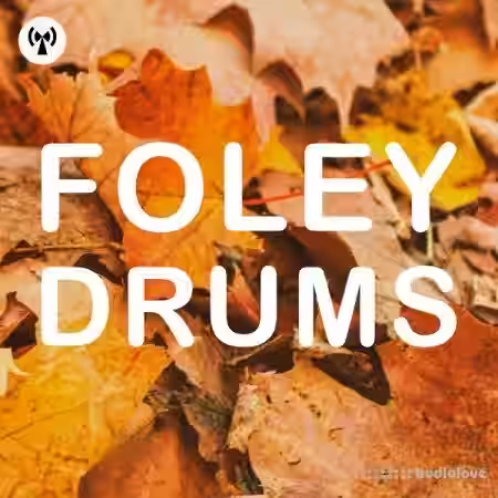 Noiiz Foley Drums [WAV, MiDi] - Sample Pack Artwork