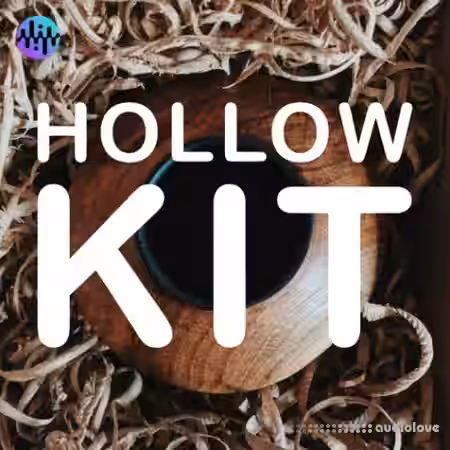 Noiiz Hollow Kit [MULTiFORMAT] - Sample Pack Artwork