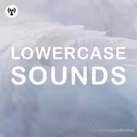 Noiiz Lowercase Sounds [WAV] - Sample Pack Artwork