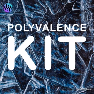 Noiiz Polyvalence Kit [MULTiFORMAT]