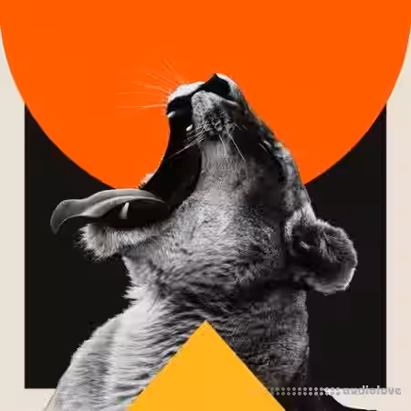 Noiiz Reggaeton Heat by Retrohandz [WAV] - Sample Pack Artwork