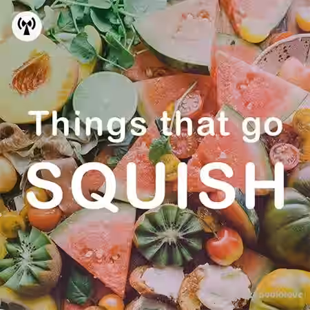 Noiiz Things That Go Squish [WAV] - Sample Pack Artwork