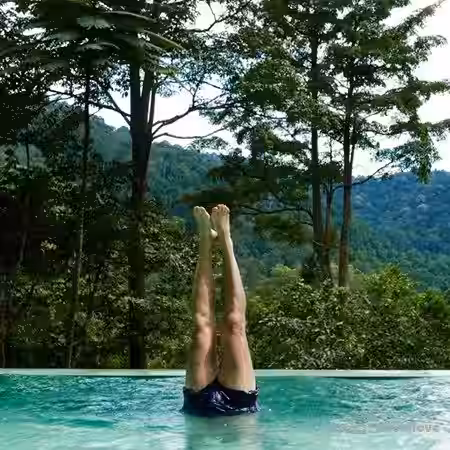 Noiiz Tropical Bass Vocals by Daniel Haaksman [WAV] - Sample Pack Artwork