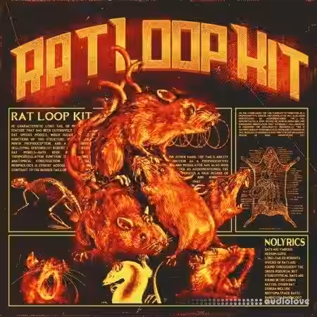 nolyrics RAT (Loop Kit and FLP) [MULTiFORMAT] - Sample Pack Artwork