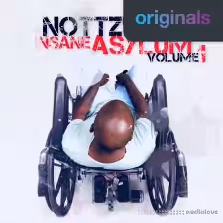Nottz's Insane Asylum Volume 1 [WAV] - Sample Pack Artwork