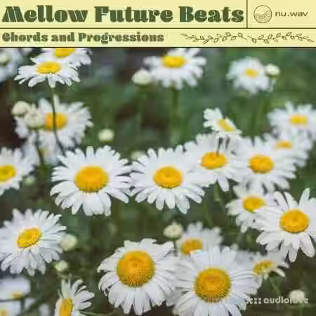 nu.wav Mellow Future Beats Chords and Progressions [WAV] - Sample Pack Artwork