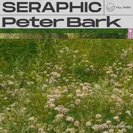 nu.wav Peter Bark - Seraphic [WAV] - Sample Pack Artwork