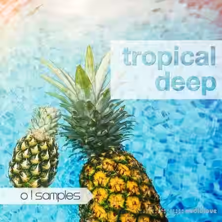 O! Samples Tropical Deep [WAV, MiDi] - Sample Pack Artwork