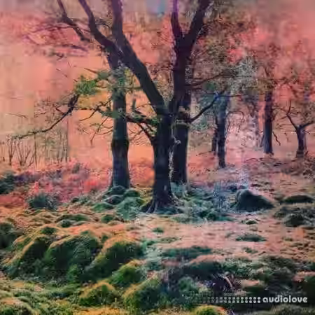 Ocoeur Visionary Elements [WAV] - Sample Pack Artwork