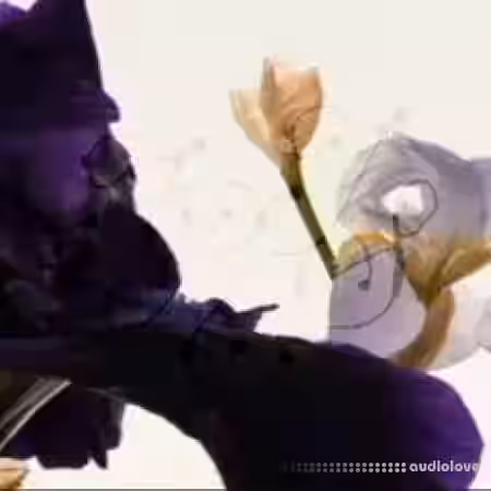 Octodog Iris Drumkit [WAV, Synth Presets] - Sample Pack Artwork