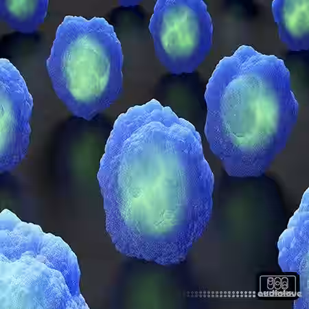 Offset Prod Cyber Funk Minds [WAV] - Sample Pack Artwork