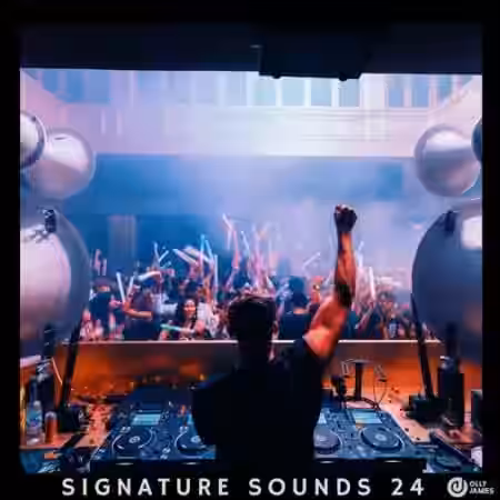 Olly James Signature Sounds Vol.24 Rave Room Kits [WAV, MiDi, Synth Presets] - Sample Pack Artwork