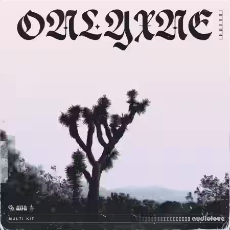 Onlyxne 808 Mafia Multi-Kit 0002 [WAV, Synth Presets] - Sample Pack Artwork