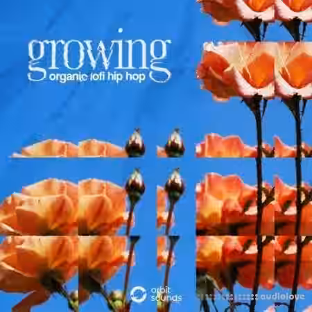 Orbit Sounds Growing organic lofi hip hop [WAV] - Sample Pack Artwork