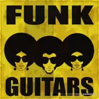 Organic Loops Funk Guitars [WAV, REX]