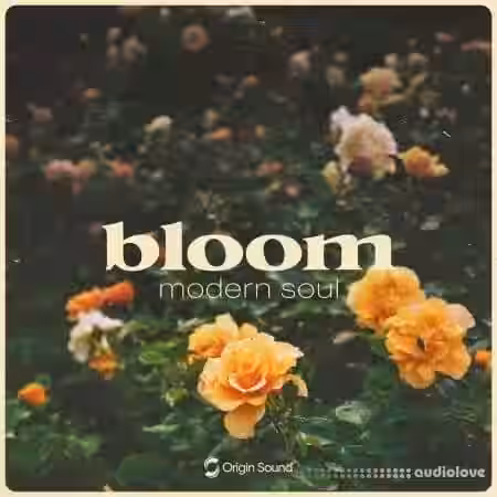 Origin Sound bloom modern soul [WAV] - Sample Pack Artwork