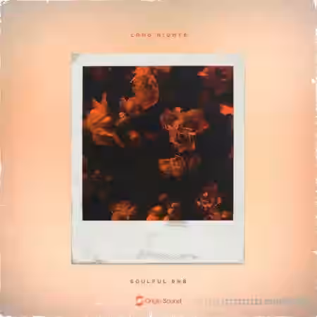 Origin Sound Long Nights [WAV] - Sample Pack Artwork