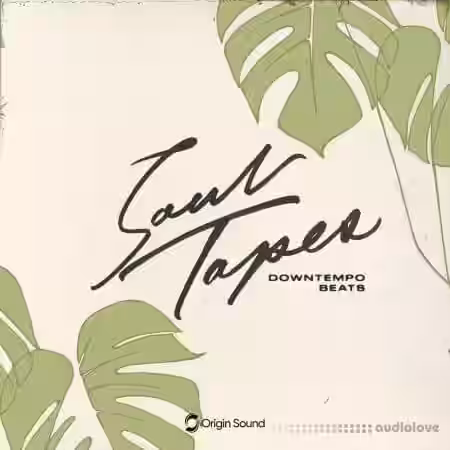 Origin Sound Soul Tapes [WAV] - Sample Pack Artwork