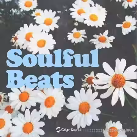 Origin Sound Soulful Beats [WAV, Synth Presets] - Sample Pack Artwork