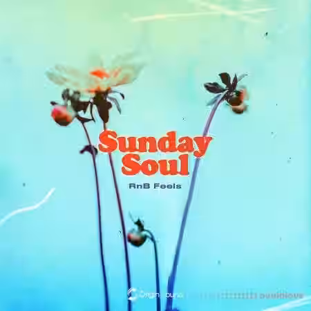 Origin Sound Sunday Soul [WAV, Synth Presets] - Sample Pack Artwork