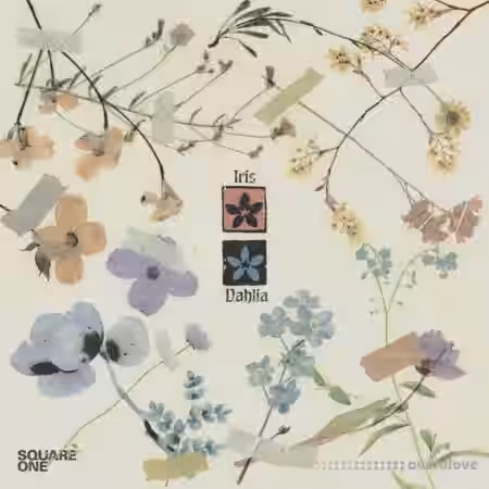 Oscar Zulu Square One Music Library Dahlia and Iris Multi-Kit [WAV] - Sample Pack Artwork