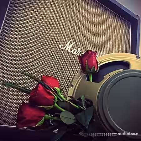 OwnHammer Basketweave GNR Libraries 44 / 48 / 96 K [Synth Presets] - Sample Pack Artwork