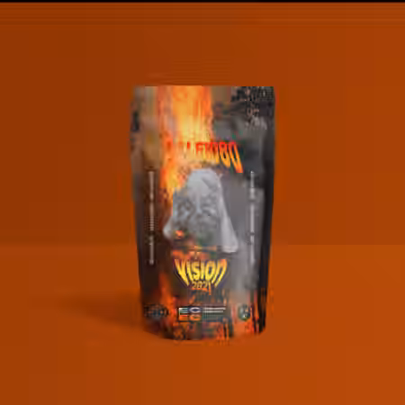 PALE1080 Vision 2021 (DELUXE VERSION) [WAV, MiDi] - Sample Pack Artwork