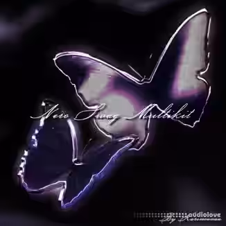 Paradigm Karinovvaa Nero Swag Multikit [WAV, MiDi, Synth Presets]