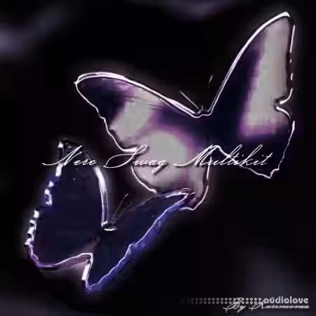 Paradigm Karinovvaa Nero Swag Multikit [WAV, MiDi, Synth Presets] - Sample Pack Artwork