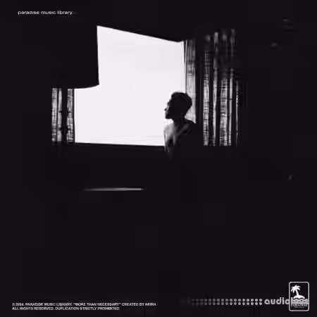 Paradise Music Library AKIRA and AAGNIK More Than Necessary (Compositions And Stems) [WAV, Synth Presets] - Sample Pack Artwork