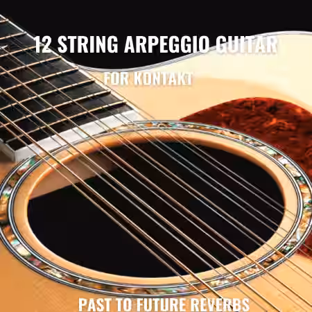 PastToFutureReverbs 12 String Arpeggio Guitar For Kontakt! [KONTAKT] - Sample Pack Artwork