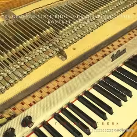 PastToFutureReverbs 88 Chopped Vinyl Rhodes Chord [KONTAKT] - Sample Pack Artwork