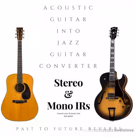 PastToFutureReverbs Acoustic Guitar Into Jazz Guitar Converter - Sample Pack Artwork