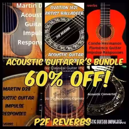 PastToFutureReverbs Acoustic Guitar IR's BUNDLE - Sample Pack Artwork