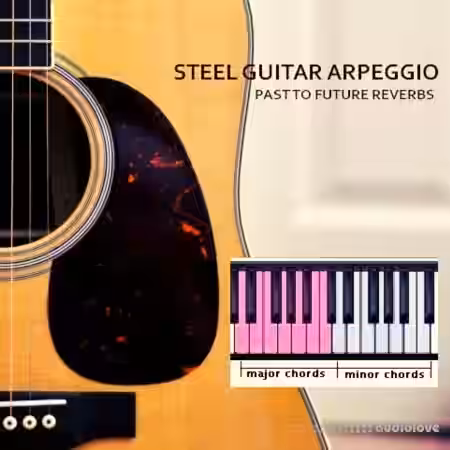 PastToFutureReverbs Acoustic Steel Guitar Arpeggio [KONTAKT] - Sample Pack Artwork
