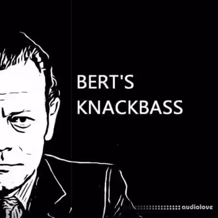 PastToFutureReverbs Bert's Knackbass [KONTAKT] - Sample Pack Artwork