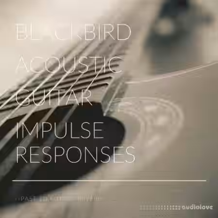 PastToFutureReverbs Blackbird Acoustic Guitar - Sample Pack Artwork