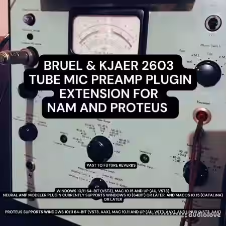 PastToFutureReverbs Bruel and Kjaer 2603 Tube Mic Preamp Plugin Extension - Sample Pack Artwork