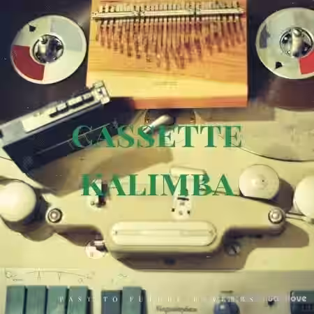 PastToFutureReverbs Cassette Kalimba [KONTAKT] - Sample Pack Artwork