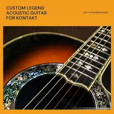 PastToFutureReverbs Custom Legend Acoustic Guitar [KONTAKT] - Sample Pack Artwork