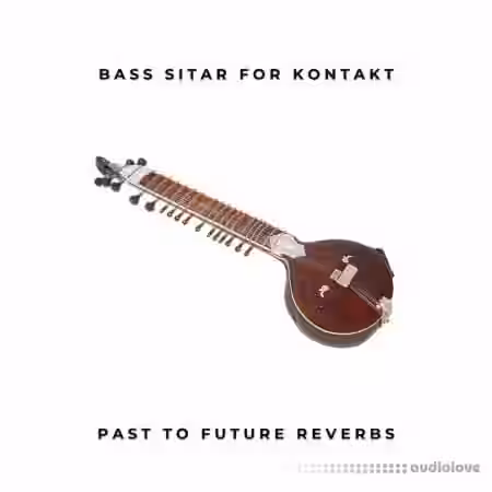 PastToFutureReverbs Electric Bass Sitar ! [KONTAKT] - Sample Pack Artwork