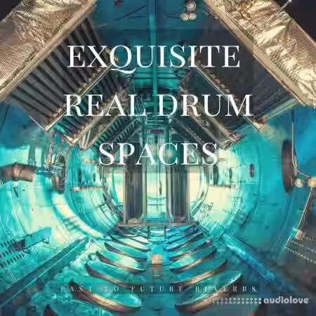 PastToFutureReverbs Exquisite Real Drum Spaces - Sample Pack Artwork