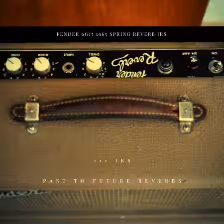 PastToFutureReverbs Fender 6G15 1965 Spring Reverb IRs! - Sample Pack Artwork