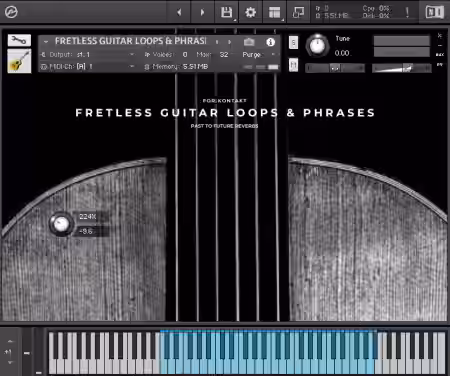 PastToFutureReverbs Fretless Guitar Loops And Phrases [KONTAKT] - Sample Pack Artwork
