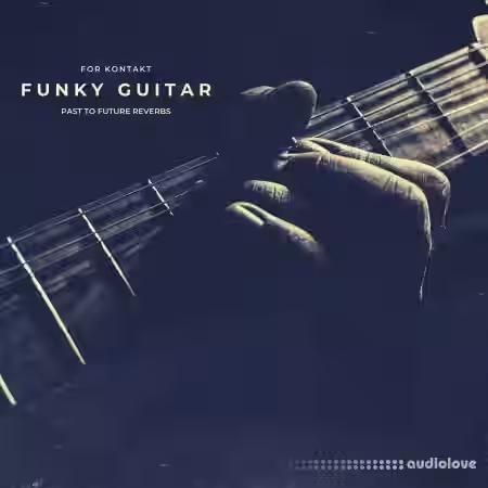 PastToFutureReverbs Funky Guitar [KONTAKT] - Sample Pack Artwork
